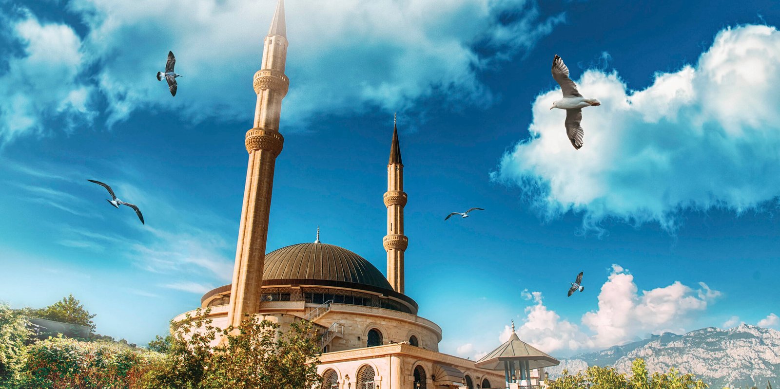 İncitme İncinme