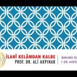 2/1 Bakara Sûresi 1-29. Âyetler Tefsiri (elif Lâm Mîm)