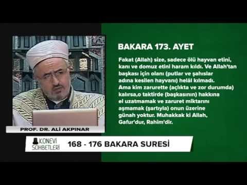 Tefsir Dersleri (bakara Suresi 168-176 Ayetler)